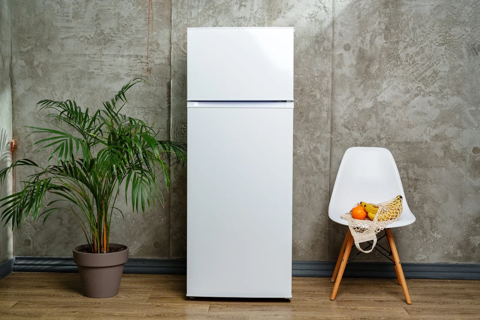 White fridge in spotless condition after a full service